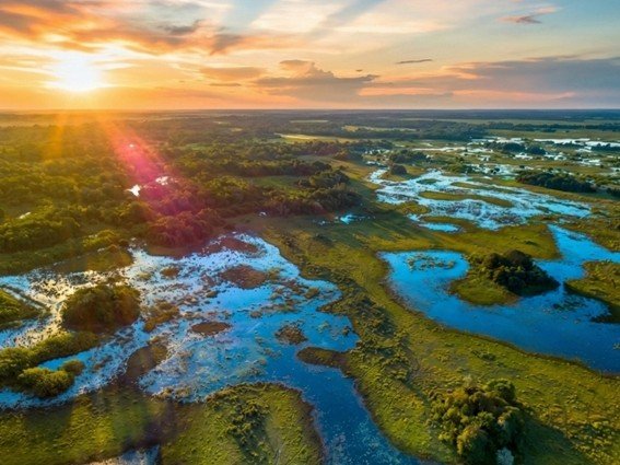 MPMS e Sejusp firmam pacto contra crimes no Pantanal