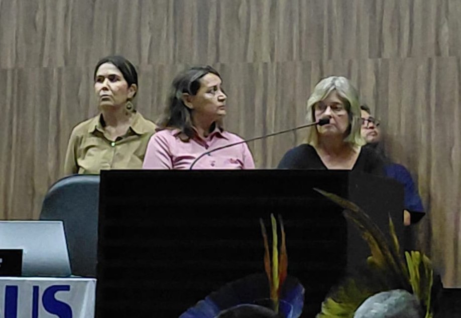 apenas três parlamentares estavam presentes na Câmara: Shirley Pigosso, Carol Terra e Joana.