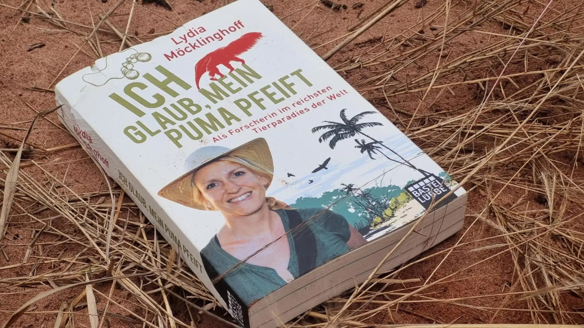 Livro de Lydia encontrado no local do acidente. (Foto: Midiamax)
