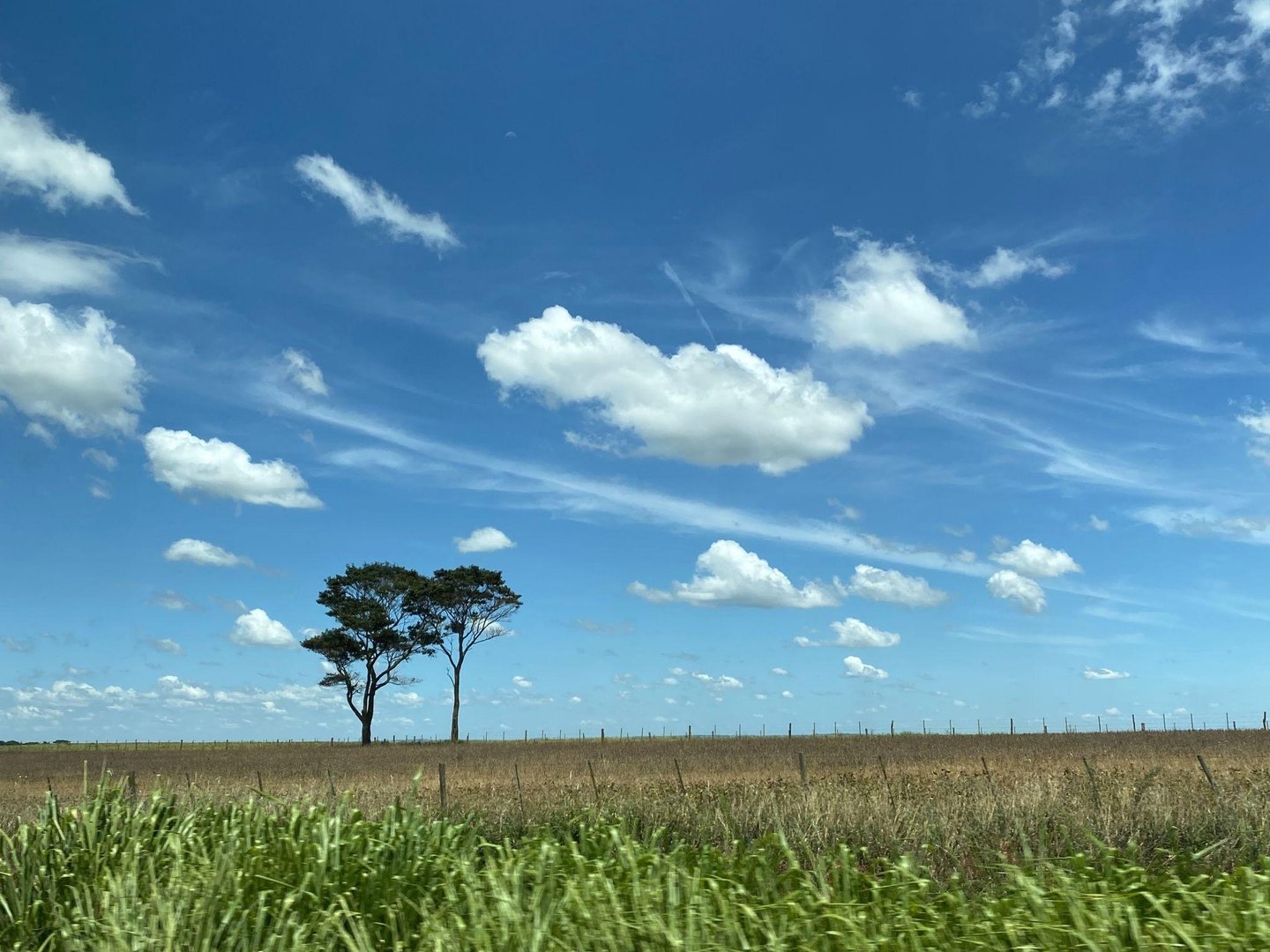 Sidrolândia terá sexta-feira de calor intenso, com máxima de 35°C e alerta para tempestade