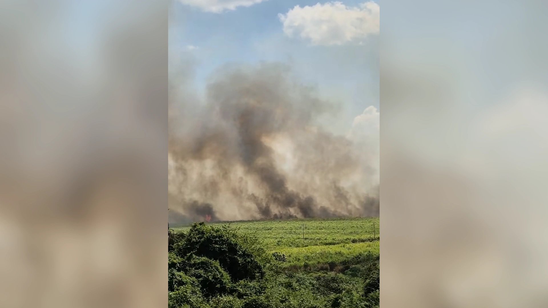 Incêndio de grandes proporções chama atenção em lavoura de Caarapó